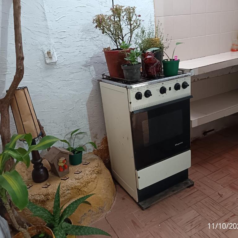 Mariposario La Crysalida - One-Bedroom Villa - 7