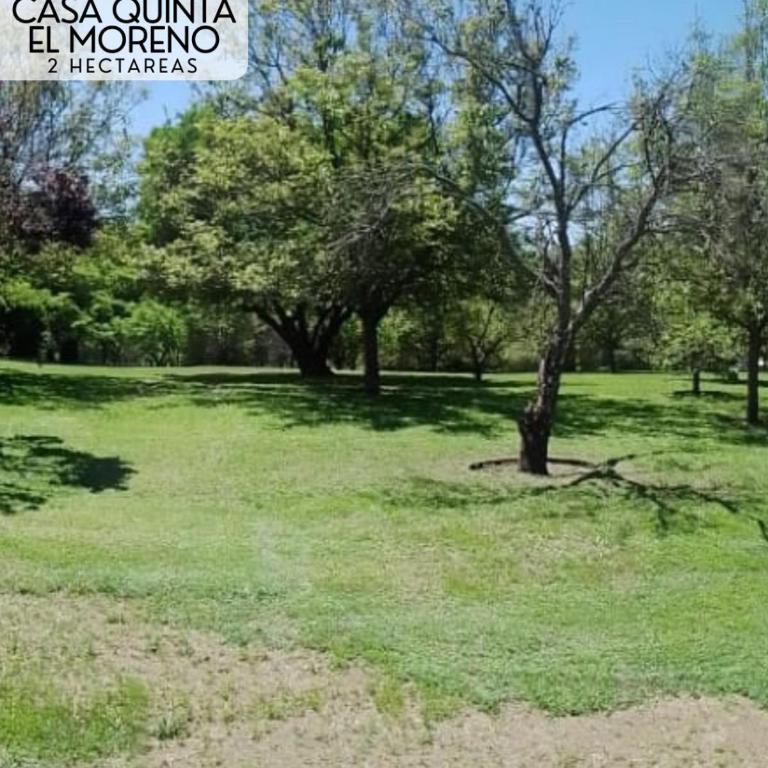 El morenito - Three-Bedroom House - 2