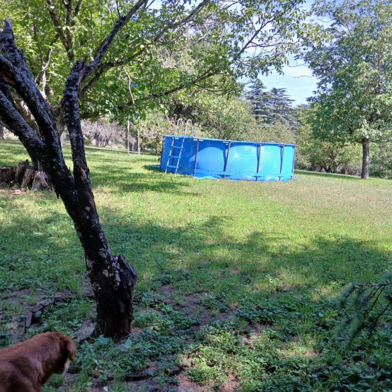 El morenito - Three-Bedroom House - 17