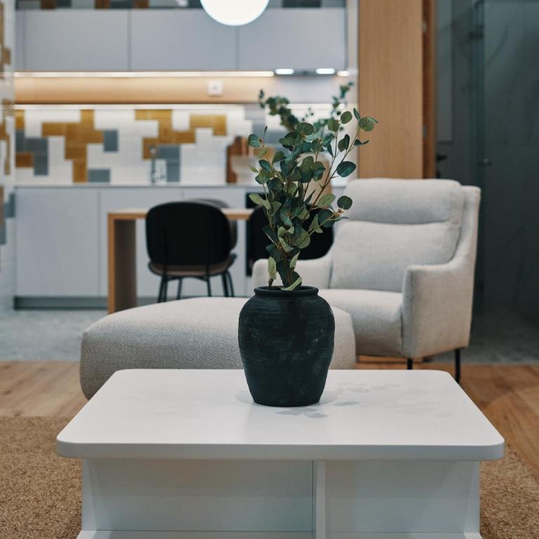 Nude Symphony Apartment - Apartman sa 1 Spavaćom Sobom - 6
