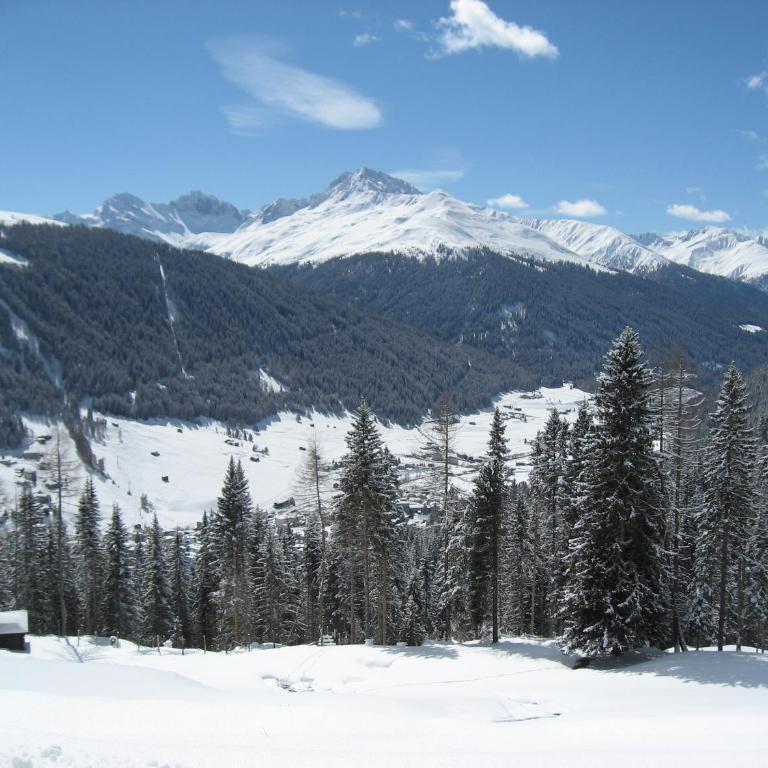 New renovated apartment in center of Davos - Apartment mit Blick auf die Berge - 4