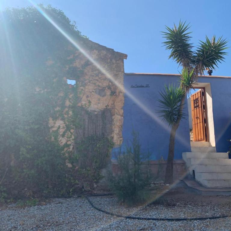 El Oasis de los Jarales - One-Bedroom House - 13