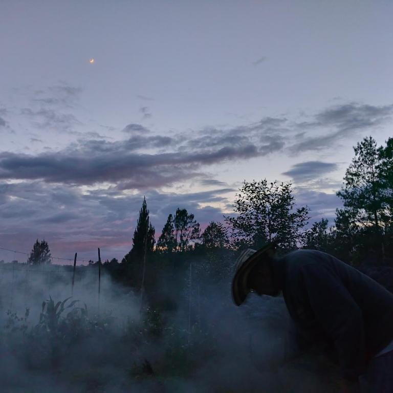 Alma Casa Finca - Three-Bedroom House - 5