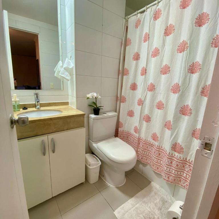 Apartment in downtown Santiago, parking - Three-Bedroom Apartment - 22