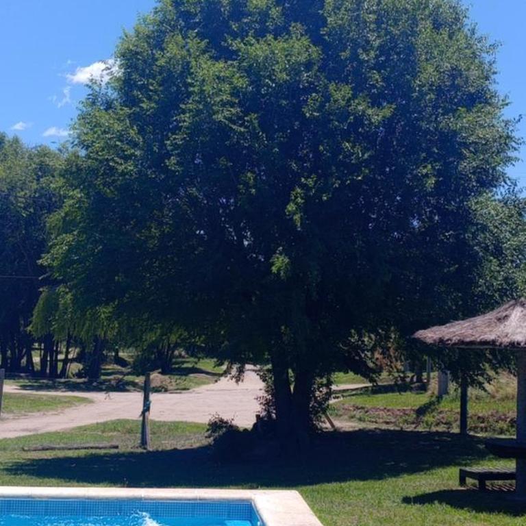 Casa la hermosura de Mayú - Apartamento de 1 dormitorio - 30