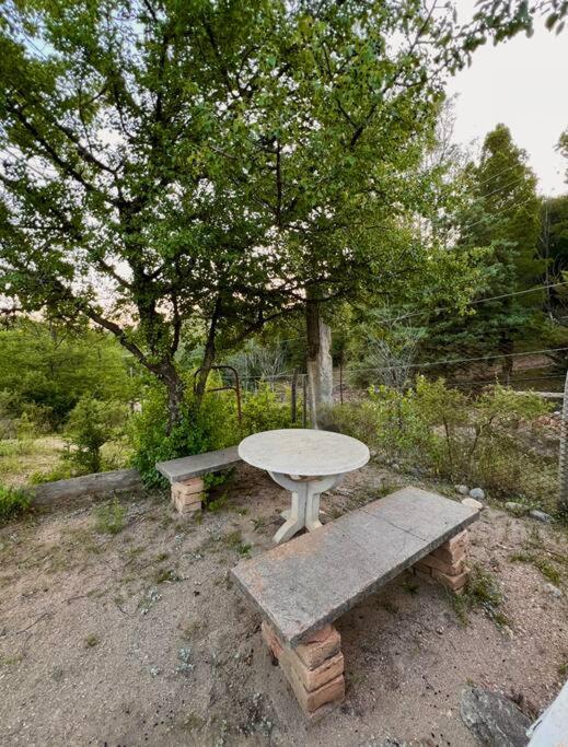 Nature's Peace: Cozy Cabin for 4 Near River - Standard Villa - 16