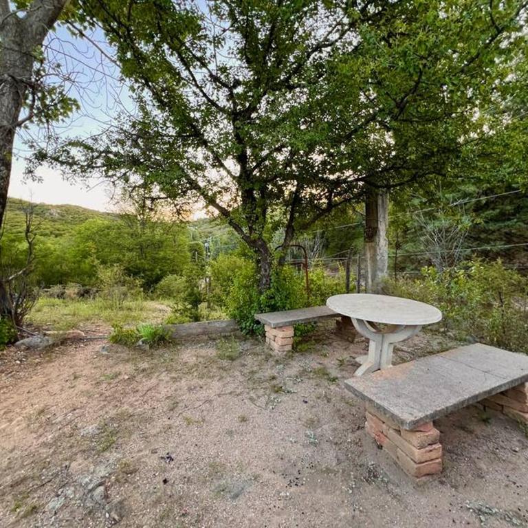 Nature's Peace: Cozy Cabin for 4 Near River - Standard Villa - 20