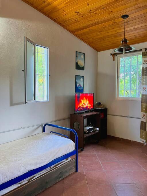 Nature's Peace: Cozy Cabin for 4 Near River - Standard Villa - 31