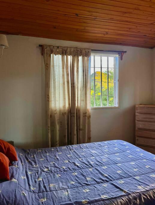 Nature's Peace: Cozy Cabin for 4 Near River - Standard Villa - 33