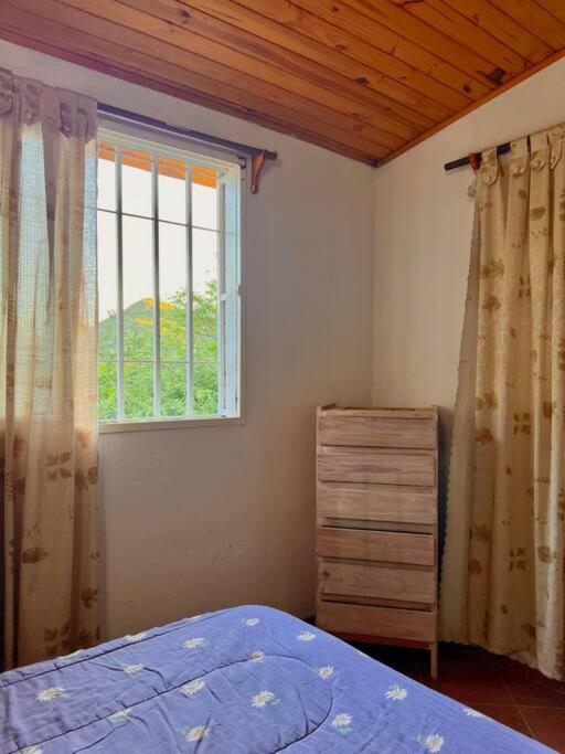Nature's Peace: Cozy Cabin for 4 Near River - Standard Villa - 42