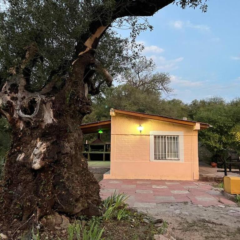 Nature's Peace: Cozy Cabin for 4 Near River - Standard Villa - 67