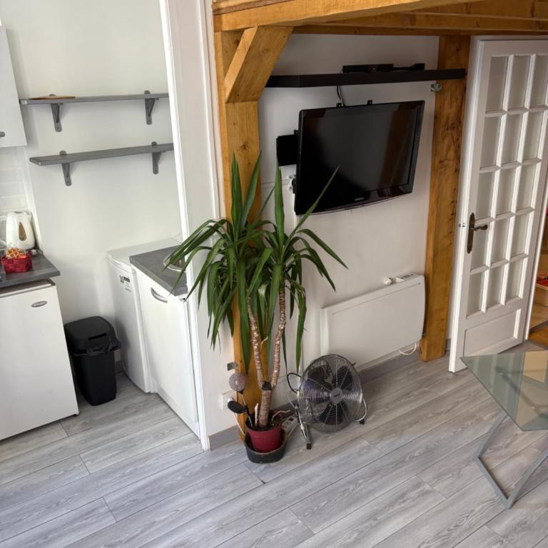 Studio coeur de Nice - Appartement 1 Chambre - 7
