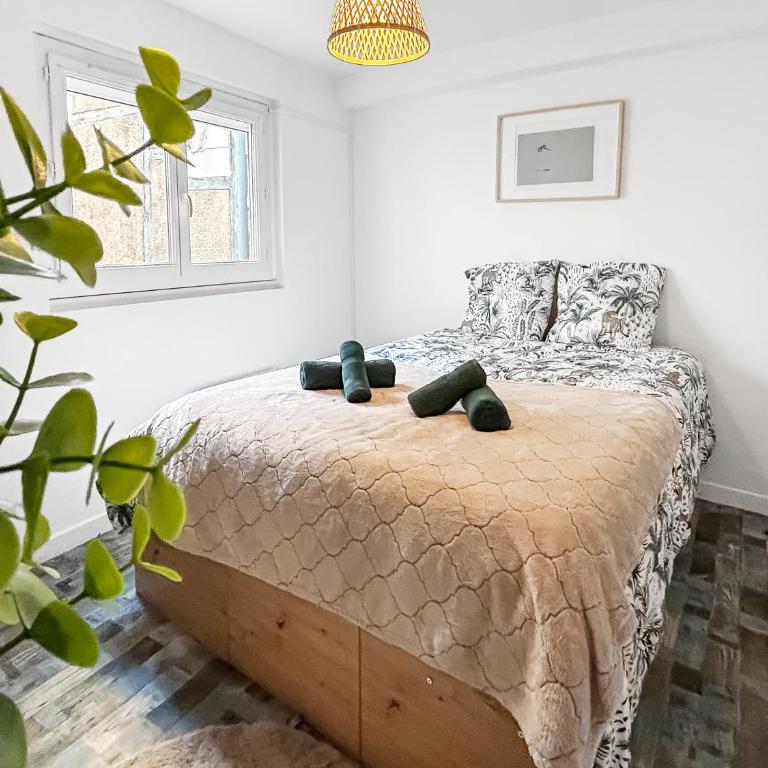 Douce parenthèse pour deux à Bourges - Appartement 1 Chambre - 21