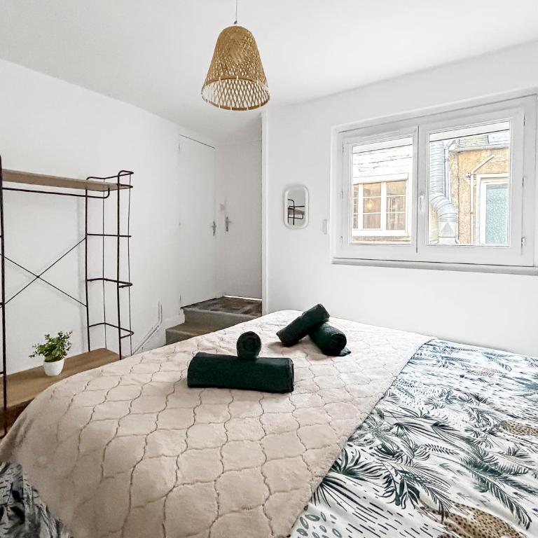 Douce parenthèse pour deux à Bourges - Appartement 1 Chambre - 22