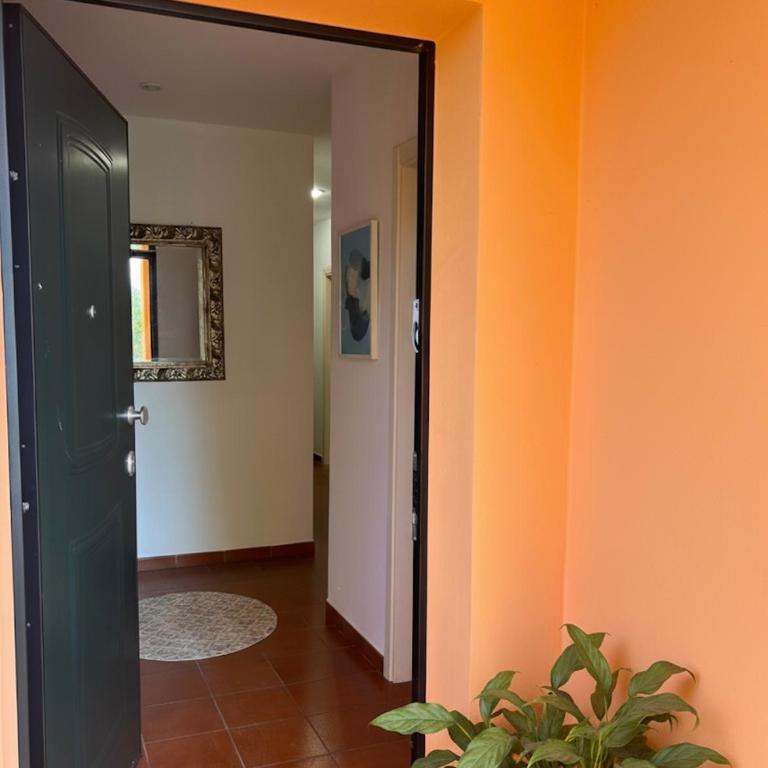 Tenuta Vinci - Villa con 3 Camere da Letto - 14