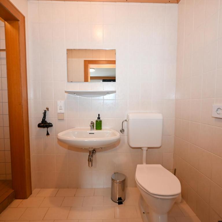 Schmitten 27 Rooms & Apartments by All in One Apartments - Suite mit 2 Schlafzimmern - 8