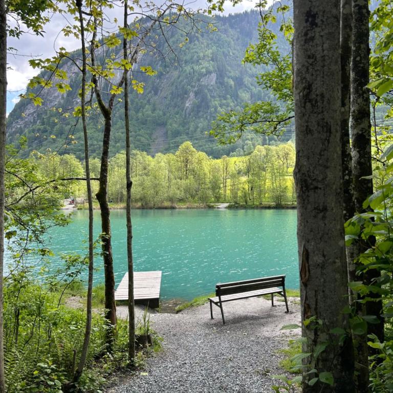 Appartment Marcher - Apartment mit Blick auf die Berge - 11