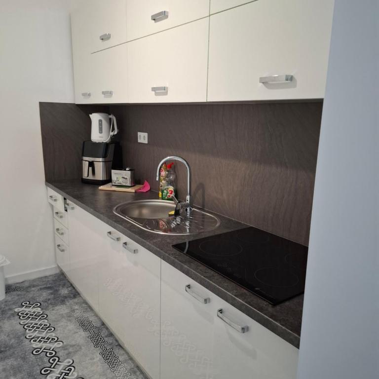 Apartman Ditka - Apartman sa 1 Spavaćom Sobom - 14