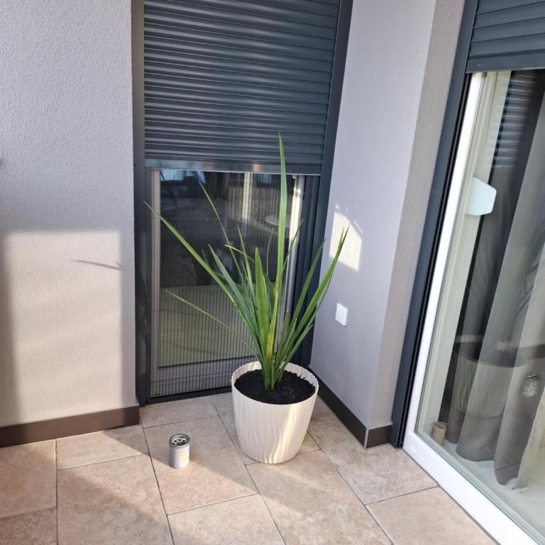 Apartman Ditka - Apartman sa 1 Spavaćom Sobom - 16