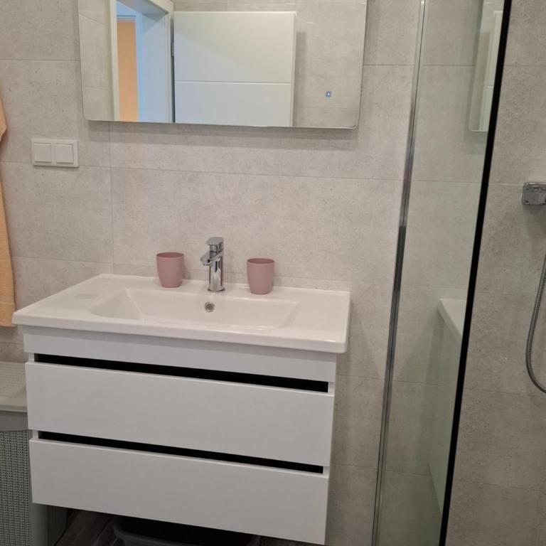 Apartman Ditka - Apartman sa 1 Spavaćom Sobom - 17