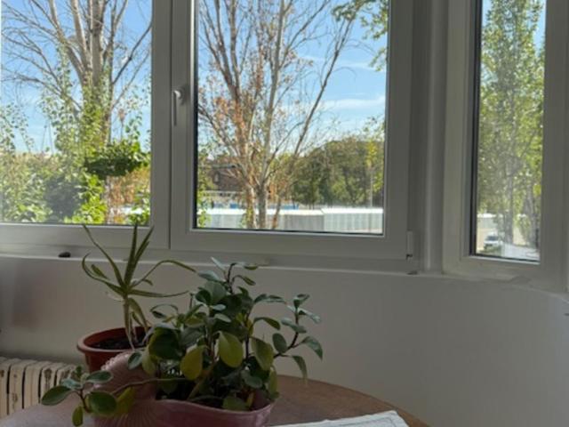 Piso céntrico, bonito, acogedor y luminoso - Two-Bedroom Apartment - 32