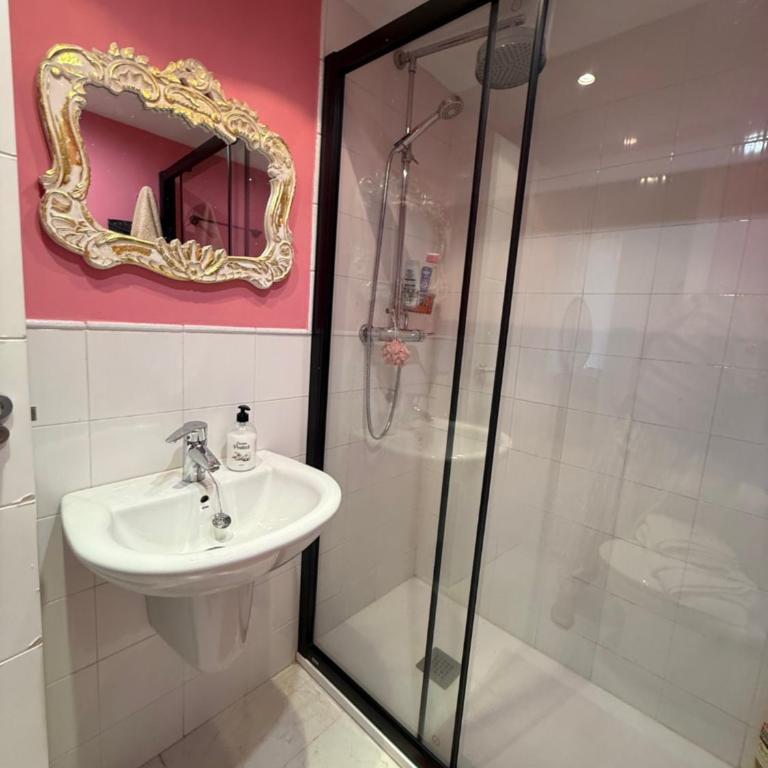 Piso céntrico, bonito, acogedor y luminoso - Single Room with Shared Bathroom - 17