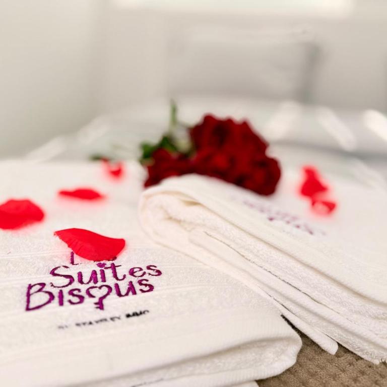Les Suites Bisous Metz - Jacuzzi & Private Sauna - One-Bedroom Apartment - 5