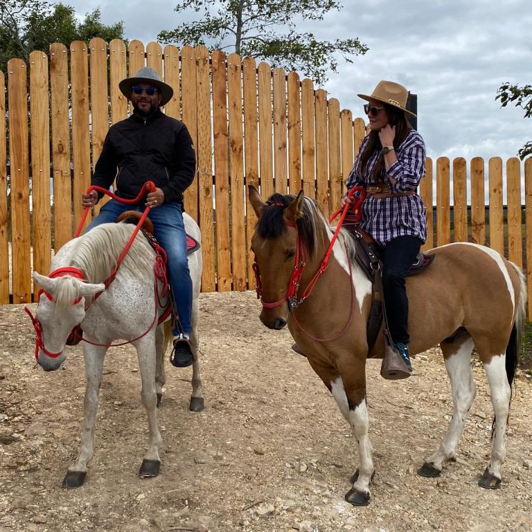 Glamping exclusivo de lujo en la montaña - Tienda - 3