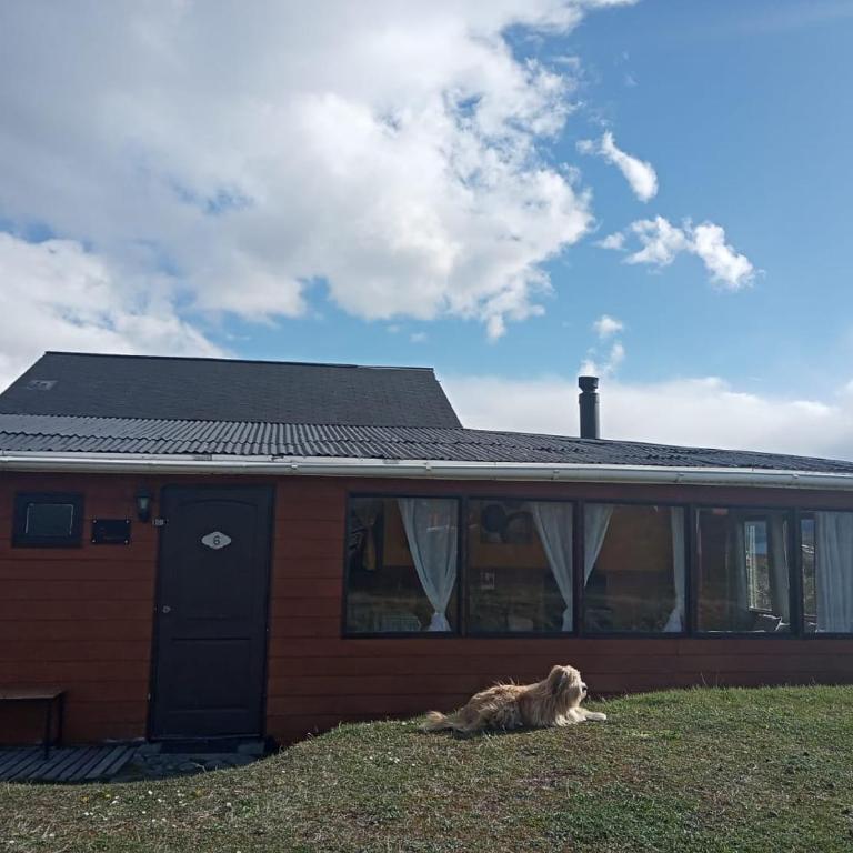 Cabañas Lago Tyndall - Bungalow Familiar - 1