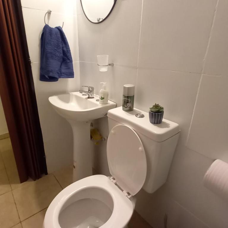 Norita Alquiler Temporal - Departamento - Apartamento de 1 dormitorio - 21