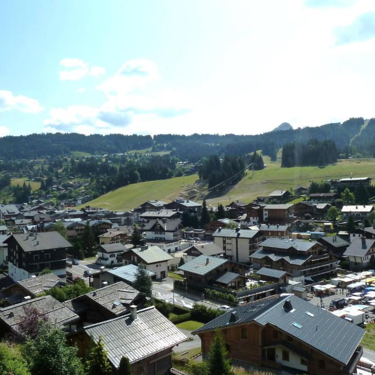 Super T3 Duplex - 6 Pers, Parking, Balcon, Les Gets - FR-1-685-47 - Apartment - 14