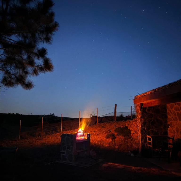 Cabana Villa Alpina - Casa con 1 dormitorio - 27