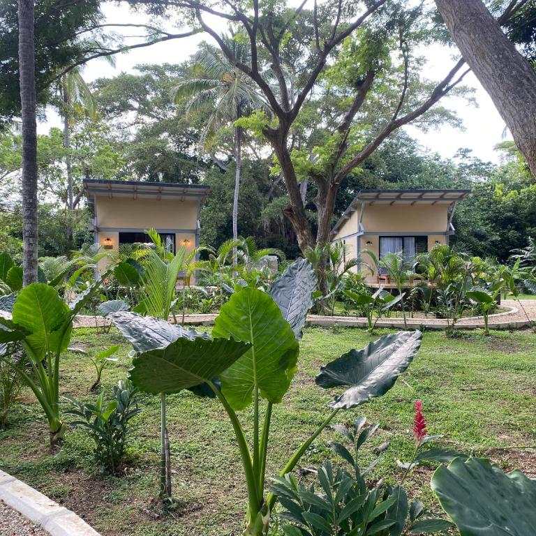 Gardenia Springs - Bungalow Deluxe con vistas al jardín - 6