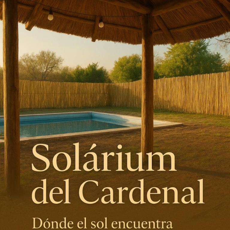 Kapo TEAM , el zorzal - Casa de 2 dormitorios - 5