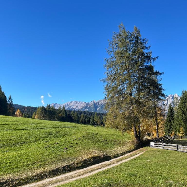 Panorama Quartier Seefeld - Apartment mit 1 Schlafzimmer und Balkon - 8