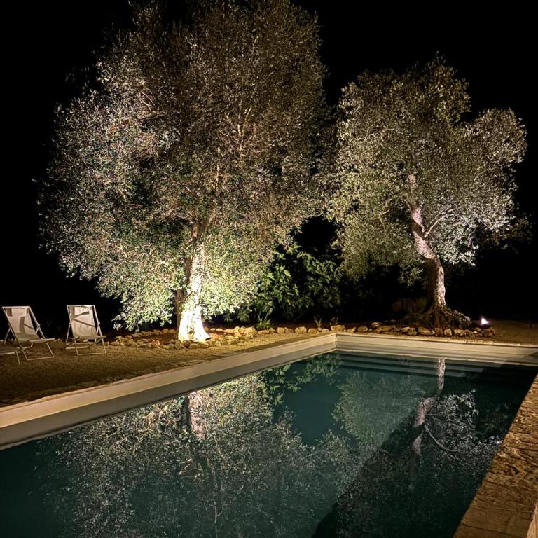 TRULLO TIPOTA with private pool - Villa con 3 Camere da Letto - 13