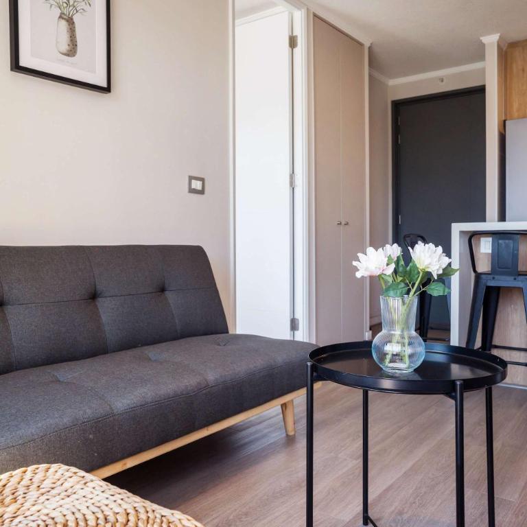 2BR 2BA Apartment in Nunoa ideal for 5 - Apartment - 30