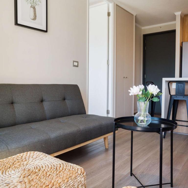 2BR 2BA Apartment in Nunoa ideal for 5 - Apartment - 31