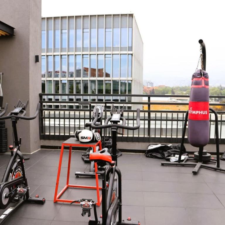 HOM I De LUJO 2D2B 4PAX cerca a Mall AltoLasCondes - Apartment - 60