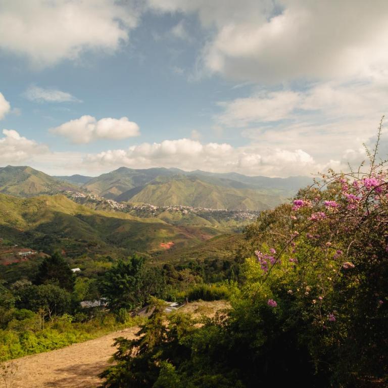 Ecovilla Cali - Villa Deluxe - 19