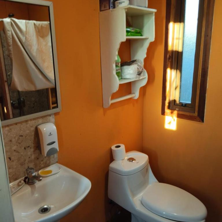 Casa Jardin Alameda - One-Bedroom Apartment - 3