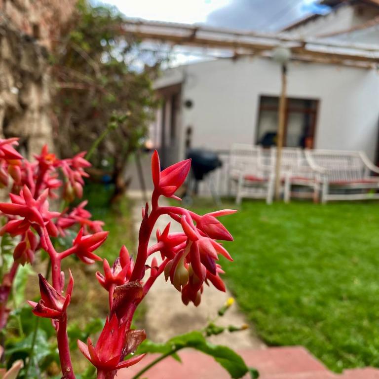 Long Stays San Blas Home with Terrace and Stunning Views - Casa de 2 dormitorios - 10