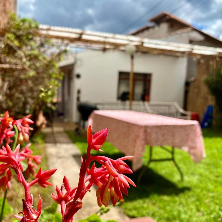 Long Stays San Blas Home with Terrace and Stunning Views - Casa de 2 dormitorios - 30