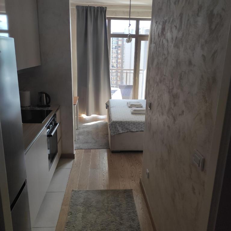 Belgrade Waterfront Comfortable Apartment - Studio sa Bračnim Krevetom (King-size) - 7