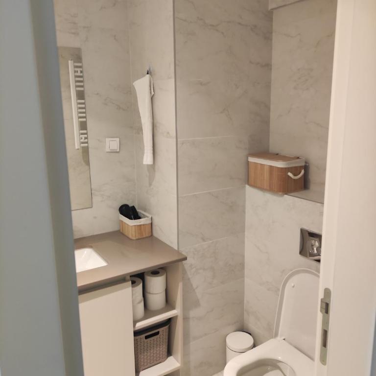 Belgrade Waterfront Comfortable Apartment - Studio sa Bračnim Krevetom (King-size) - 2