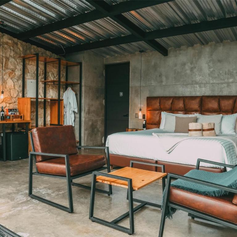 Bio Habitat Hotel - Suite Master - 4