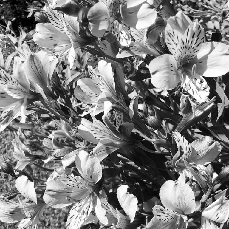 House with splendid views - Valle Sagrado - Casa de 2 dormitorios - 34