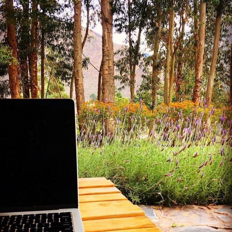 House with splendid views - Valle Sagrado - Casa de 2 dormitorios - 37