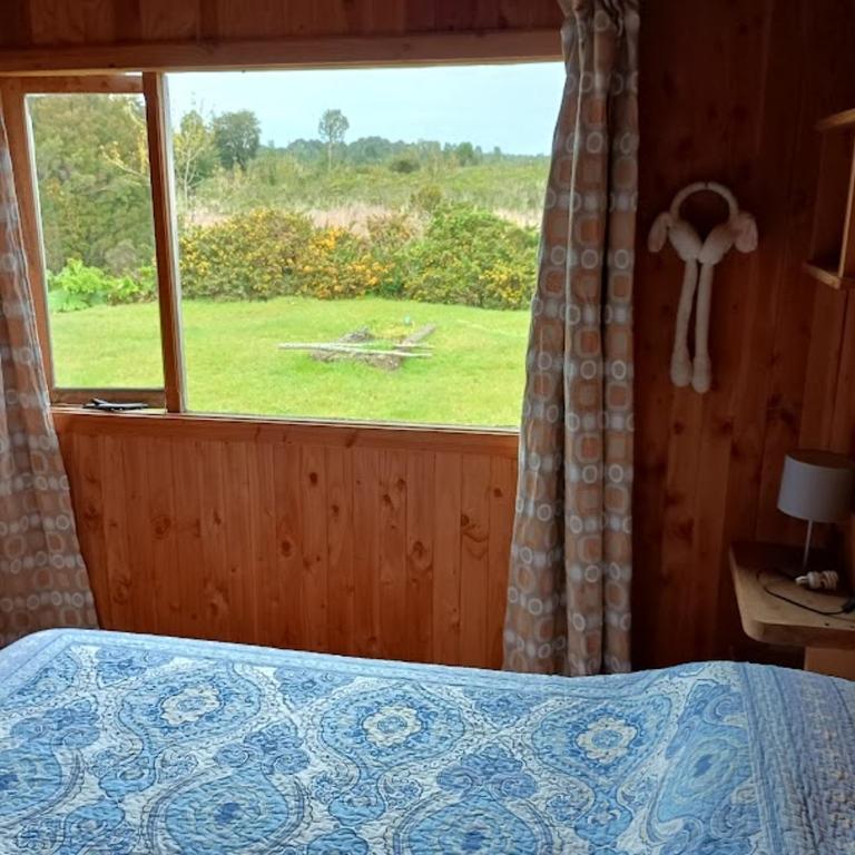 Casa de Campo - Casa - 19