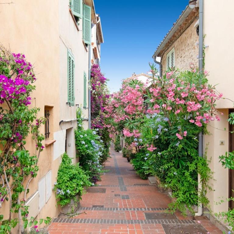 "Philomer Safranier" Historic Old-Town Apartments, Sea View and Terrace Options - Appartement 1 Chambre avec Vue sur la Mer et Terrasse - 16